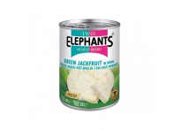 Jacquier vert en saumure (en morceaux) TWIN ELEPHANTS 540g