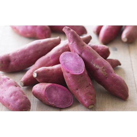 Patate douce violette 1kilo
